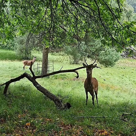 Апартаменты Folly View - Private, Peaceful With Stunning Views.