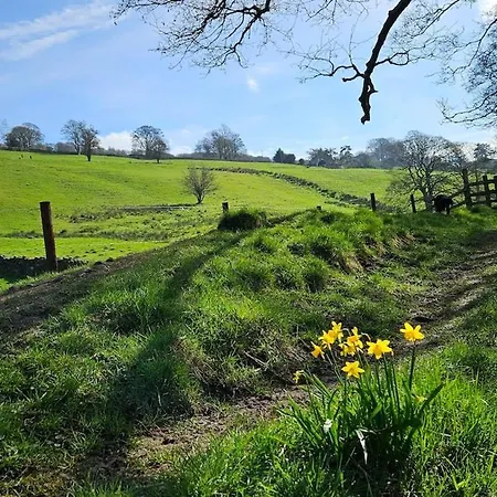 Folly View - Private, Peaceful With Stunning Views. Pateley Bridge