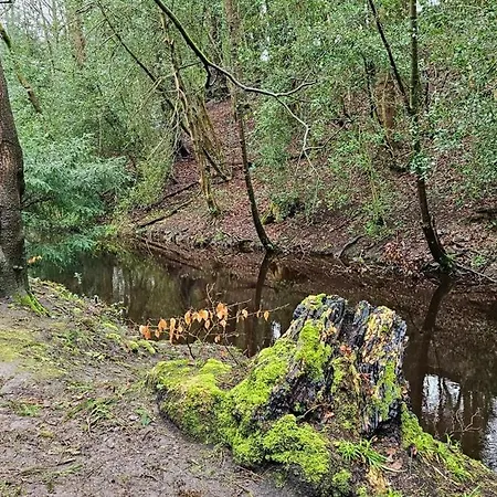 Folly View - Private, Peaceful With Stunning Views. Appartement