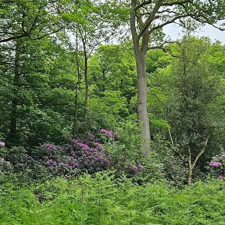 Appartement Folly View - Private, Peaceful With Stunning Views.