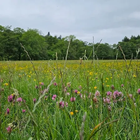 Folly View - Private, Peaceful With Stunning Views. Appartement Pateley Bridge