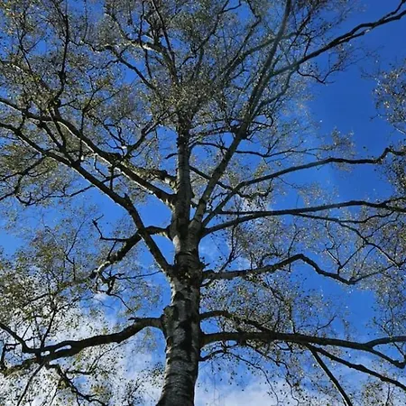 Folly View - Private, Peaceful With Stunning Views. *