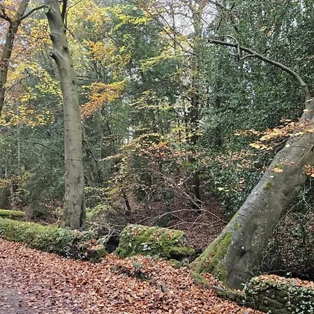 Folly View - Private, Peaceful With Stunning Views.