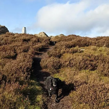 Folly View - Private, Peaceful With Stunning Views. Апартаменты Пэтели-Бридж