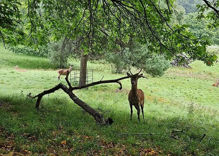 Appartement Folly View - Private, Peaceful With Stunning Views.