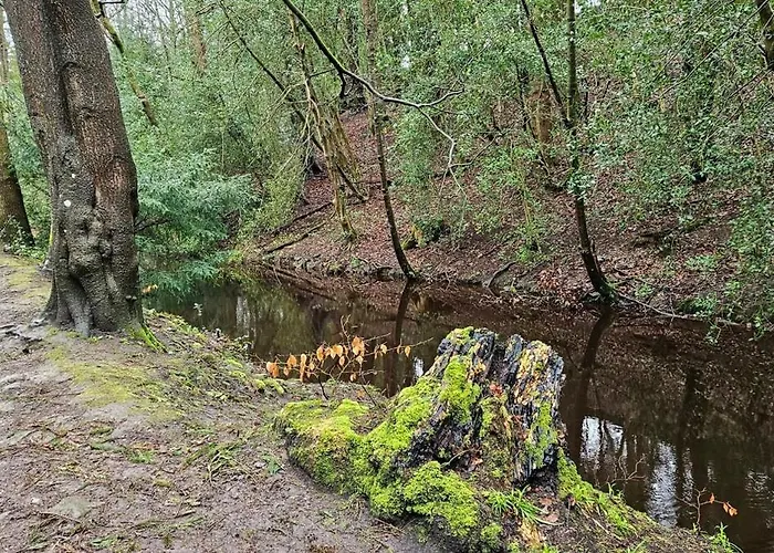 Folly View - Private, Peaceful With Stunning Views. Appartement