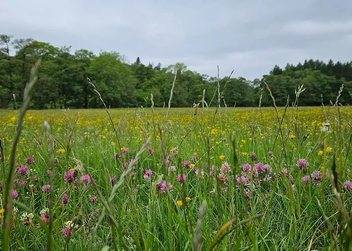 Folly View - Private, Peaceful With Stunning Views. Appartement Pateley Bridge
