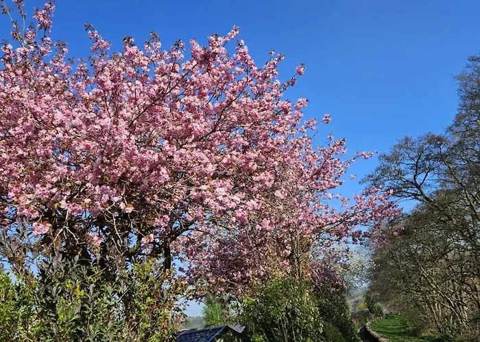 Appartement Folly View - Private, Peaceful With Stunning Views. Pateley Bridge