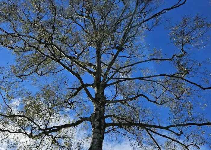 Folly View - Private, Peaceful With Stunning Views. *