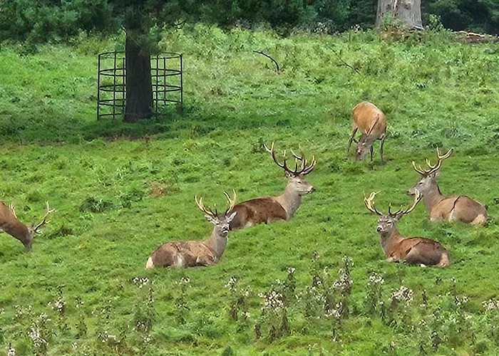 Folly View - Private, Peaceful With Stunning Views. Appartement