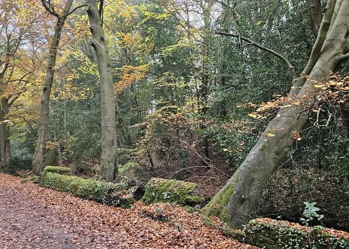 Folly View - Private, Peaceful With Stunning Views.