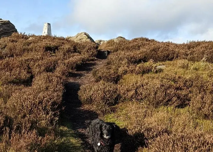 Folly View - Private, Peaceful With Stunning Views. Appartement Pateley Bridge