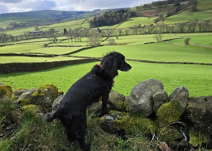 Folly View - Private, Peaceful With Stunning Views. Appartement