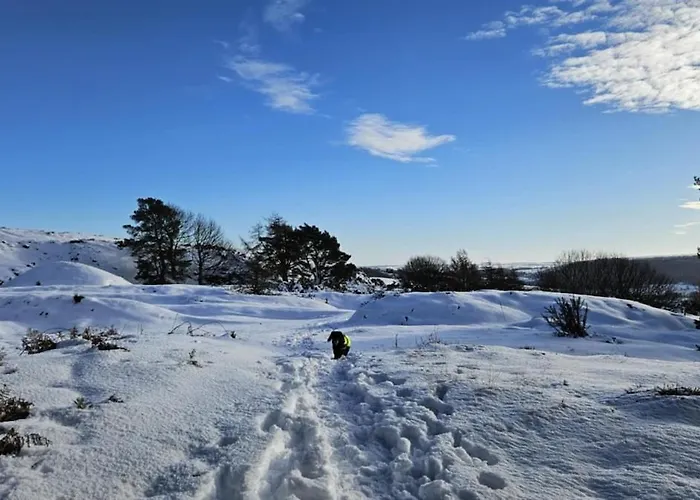 Folly View - Private, Peaceful With Stunning Views. * Pateley Bridge