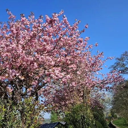 شقة Folly View - Private, Peaceful With Stunning Views. جسر باتيلي