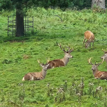 Folly View - Private, Peaceful With Stunning Views. شقة